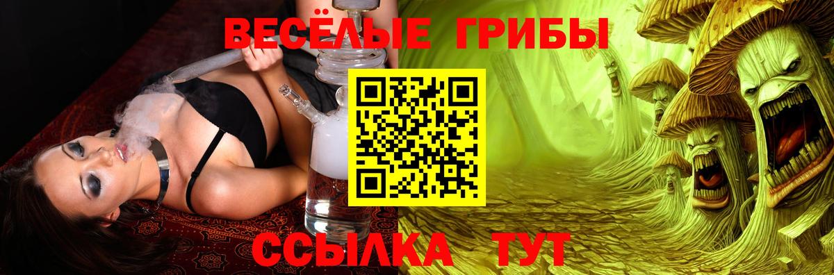 Псилоцибиновые грибы мицелий Бердск